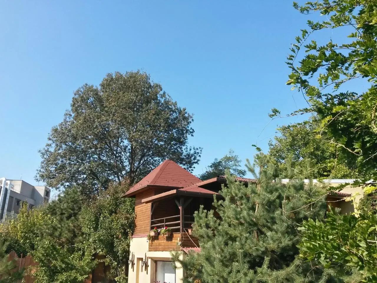 Casa Mica Guesthouse Bucharest